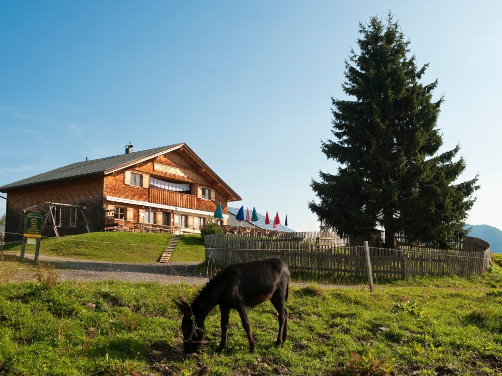 Alpe Rona am Hochplateau Tschengla am Bürserberg