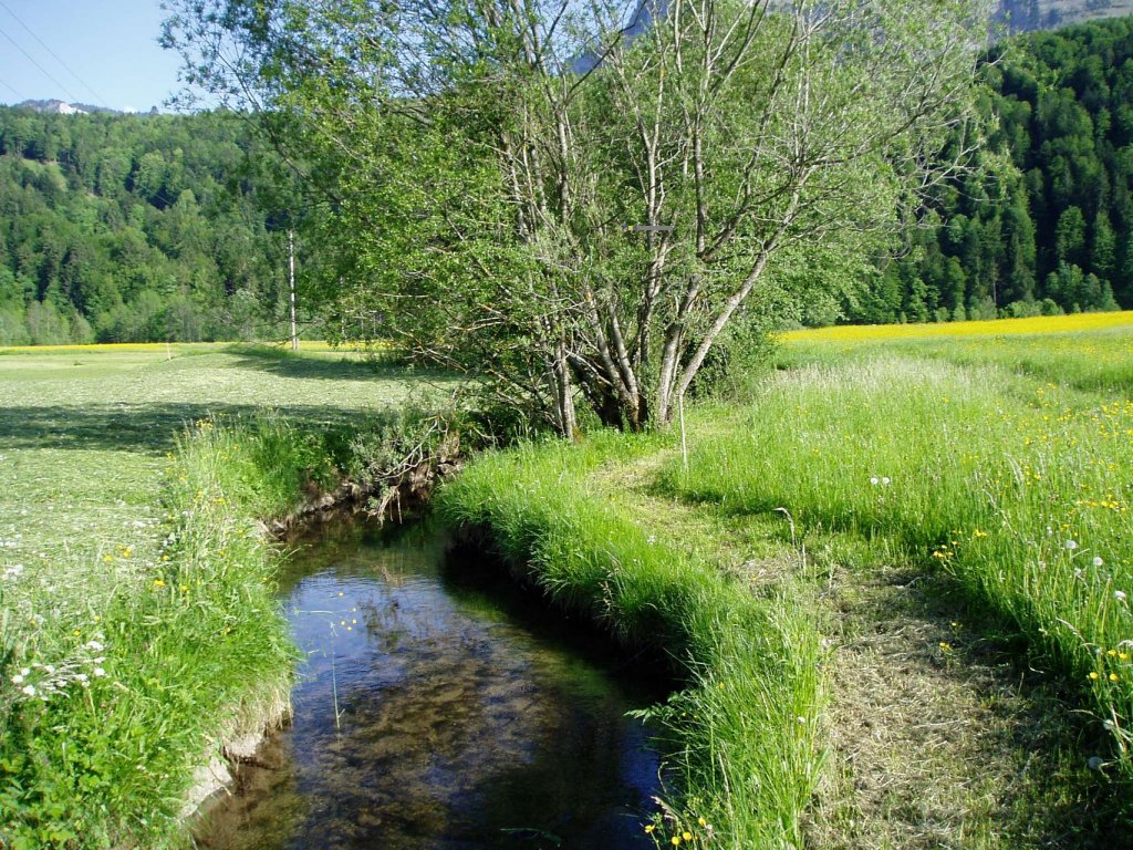 Barfußweg in Bizau im Bregenzerwald