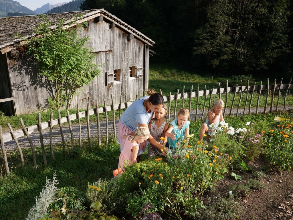 Naturerlebnis im Kräutergarten im Holdamoos in Au-Schoppernau