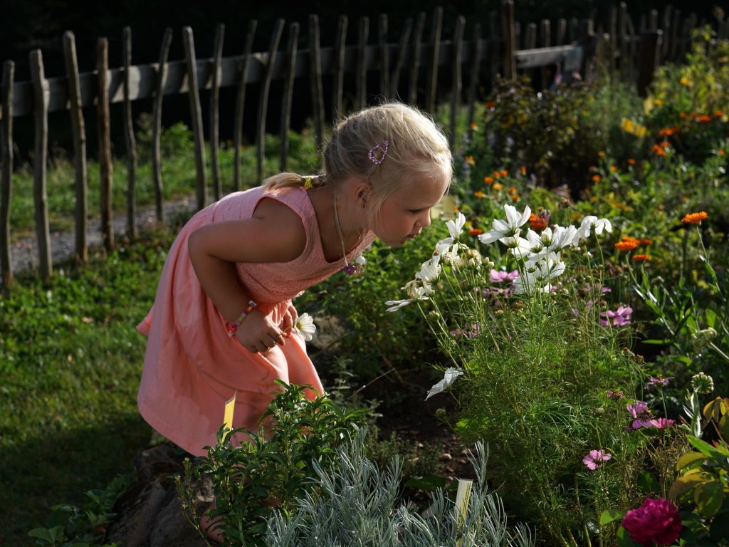 Naturerlebnis im Kräutergarten im Holdamoos in Au-Schoppernau