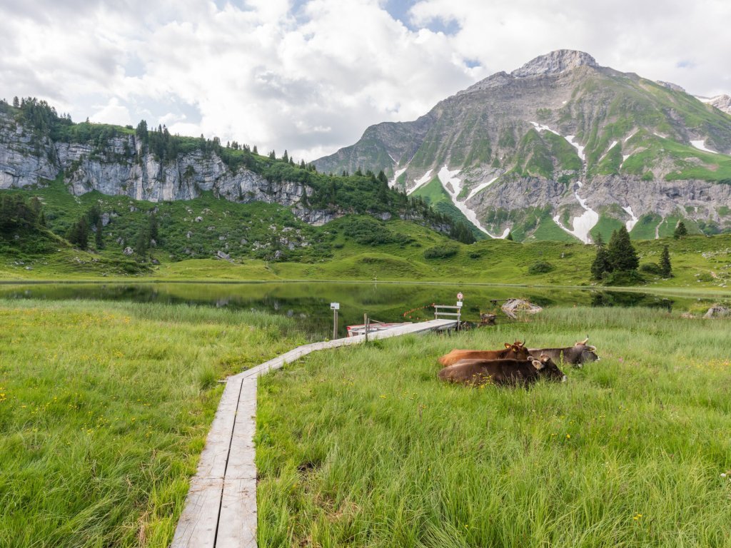 Körbersee im Sommer mit Juppenspitze