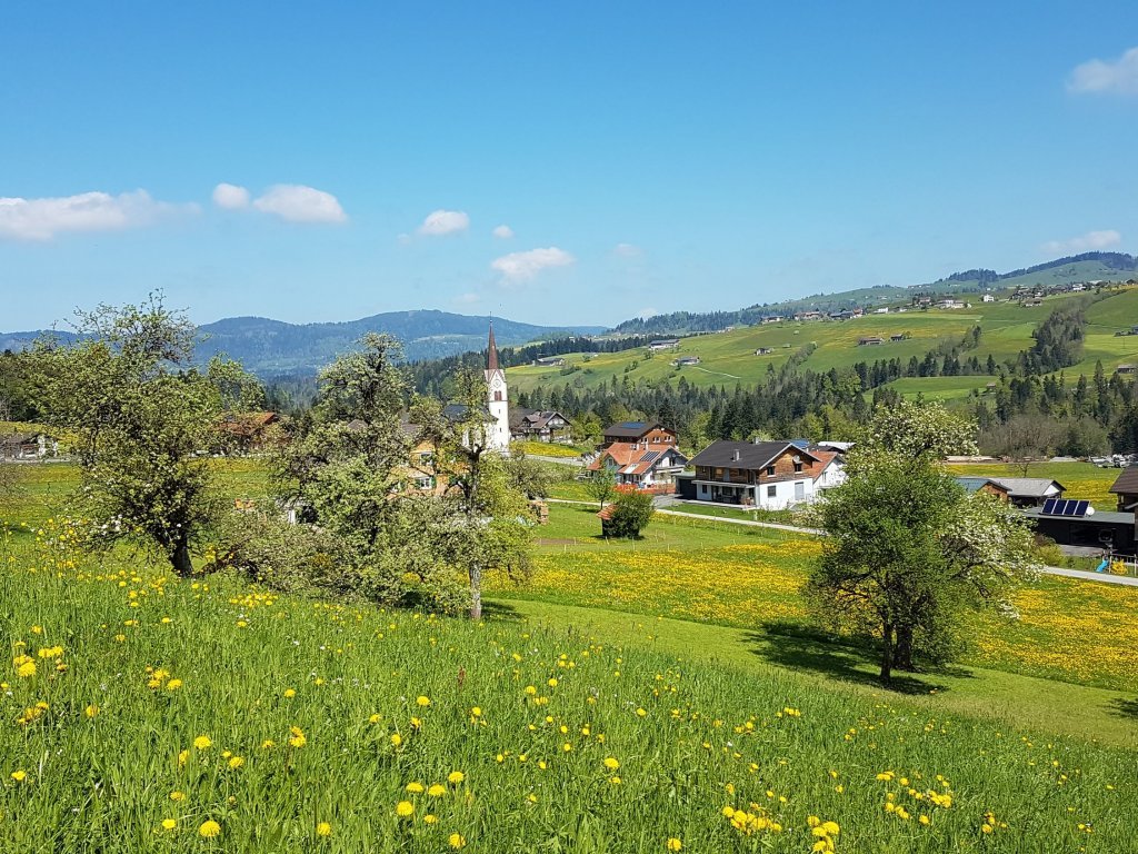 Müselbach im Frühling