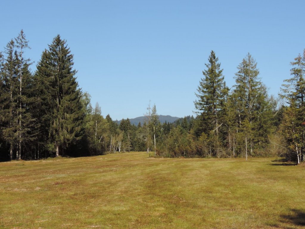 Natuschutzgebiet Nord in Langenegg im Bregenzerwald