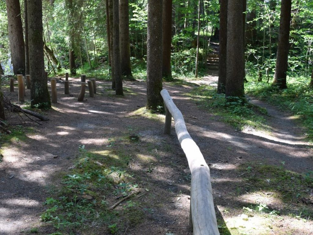 Tobelweg in Sibratsgfäll im Bregenzerwald 