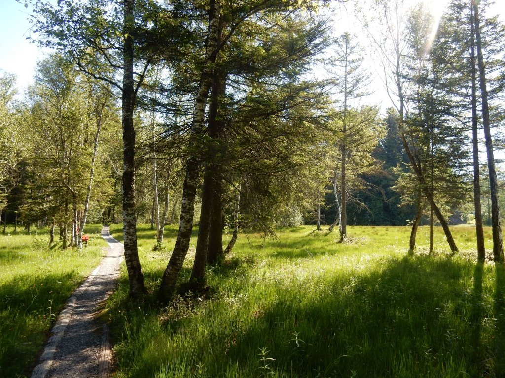 Natuschutzgebiet Nord in Langenegg im Bregenzerwald