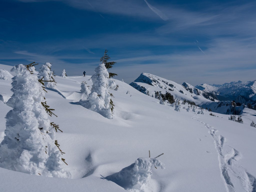 Winterlandschaft auf der Niedere in Andelsbuch