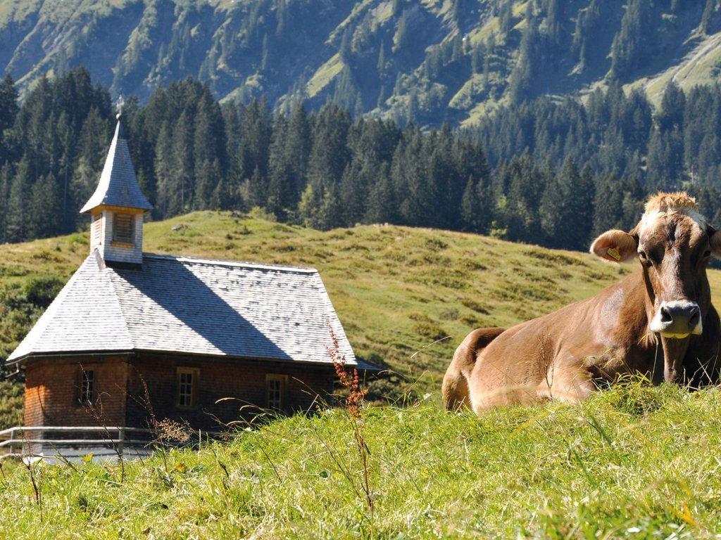 Bergkäserei in Schoppernau  im Bregenzerwald