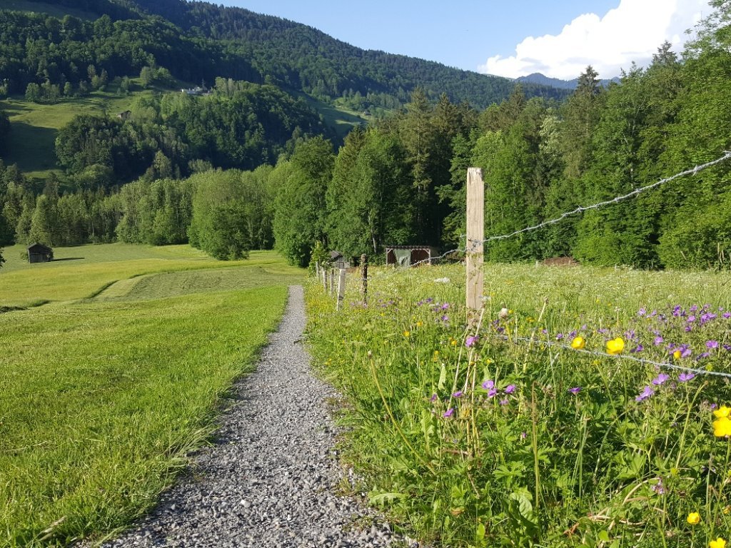 Weg hinunter ins Vorsäß Enge