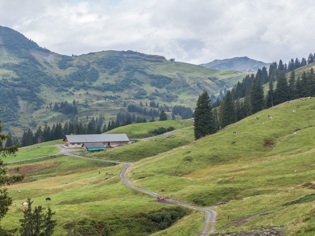 Blick auf Mittelargenalpe