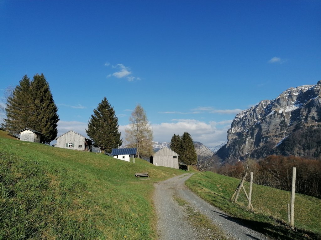 Vorsäß Kau Mellau mit Blick zur Kanisfluh