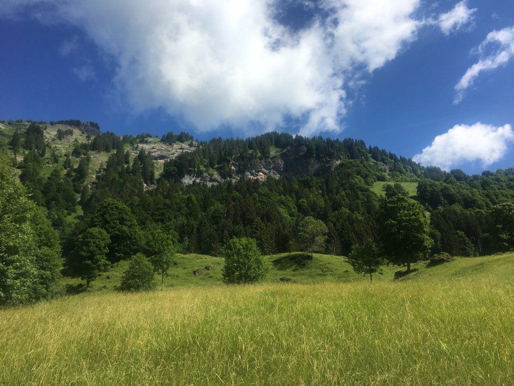 Auf dem Weg zur Hangspitze