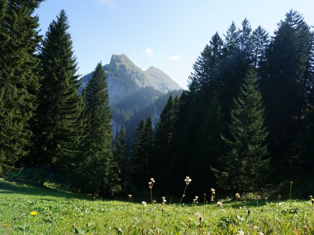 Wanderweg Mellau