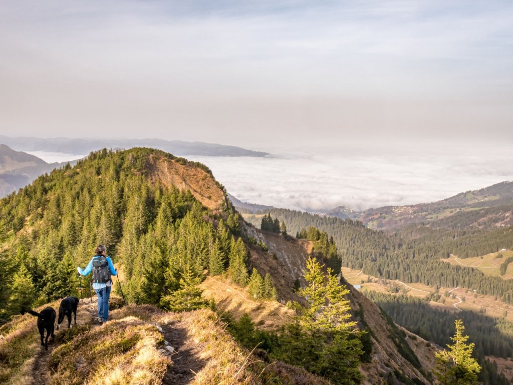 Abstieg von der Hangspitze Mellau