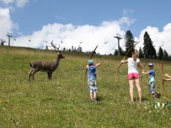 3D-Bogenparcour am Schlegelkopf in Lech am Arlberg