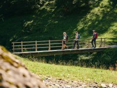 Wandern auf der Rossstelle Mellau