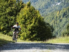 Mountainbiker in Mellau