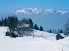 Übersaxen, unter Gulm